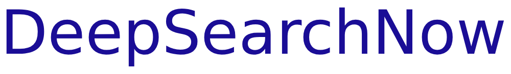 DeepSearchNow